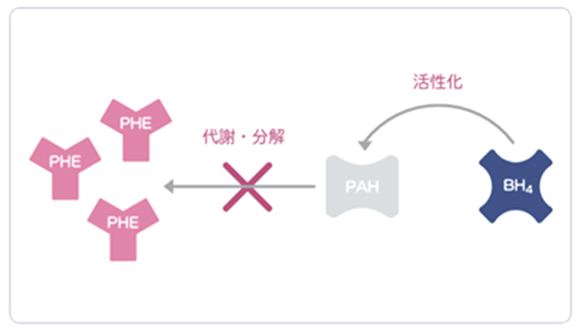 フェニルケトン尿症（PKU）